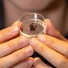 Rice University engineers find they can manipulate the legs of dead spiders to serve as grippers. 