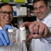 Bioengineering PhD student Amanda Nash and Professor Omid Veiseh with jars of bead-like implants like the ones they created to treat cancer