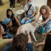 Therapy dog receiving pets from Rice students