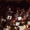 Andrew Grams with the Shepherd School Symphony Orchestra. Photo by Gustavo Raskosky.