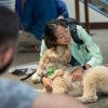 End-of-semester dog therapy sessions at Fondren Library are being sponsored in partnership with the Rice Student Association for Rice students in need of a finals pick-me-up April 26-28.