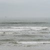 The Gulf of Mexico