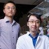 researchers 