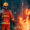 wildfires 