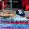 Rice swimming and diving was named a Scholar All-America Team by the College Swimming and Diving Coaches Association of America (CSCAA) on Monday afternoon.
