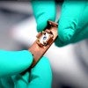 optical cavity