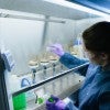Wastewater testing in the lab. 