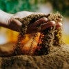 soil stock