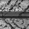 SEM image