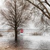 flooding