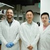 The Wang Group