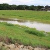 A retention basin in Harris County.