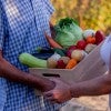 Farmers exchanging a box of food. 