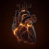 stock photo of heart