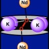 four potassium atoms and two oxygen atoms in between two ligands, each holding a lanthanide atom.