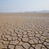 A stock image of cracked ground from a drought.  