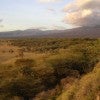 People buried at Gishimangeda Cave near Lake Eyasi (pictured) in Tanzania provided evidence of later herders’ more specialized diets Credit/ Mary Prendergast.jpg
