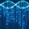 blue DNA strand with lines of differently colored tiny blocks streaming from it symbolizing data 