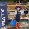 Nearly 30 fourth and fifth grade students got a firsthand look at where milk comes from July 16 when a dairy cow named Luna visited Rice University as part of the Center for STEM Engagement’s new C.H.E.F. Lab (Creating Hands-on Experiments in Food Science). 