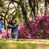 three students walking in front of azaleas 