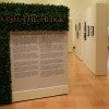 Beyond the Hedges: Historias de Latinidad at Rice University 
