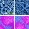 Similarities in molecular organization between parent liquid crystal and daughter crystal phases are apparent under different optical imaging techniques.  