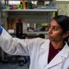 Neethu Pottackal examines a sample of NIVERA’s food coating  