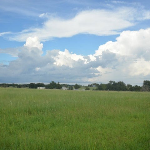 Texas prairie landscape