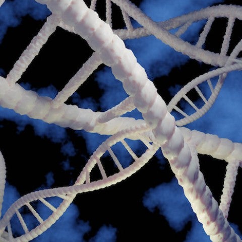 Rendering of DNA structure. Photo credit: 123rf.com
